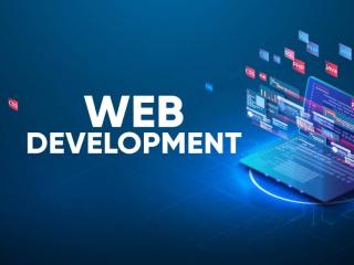 Website Development & Management